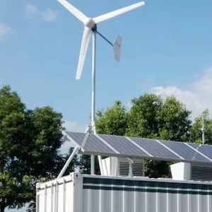 230VAC/380VAC Wind Turbine Generator For Home Wind Turbine Energy