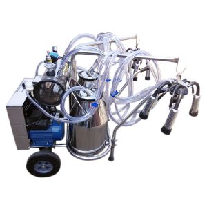 China Gas Pulsation 110V Cow Milking Machine With Electric Motor on sale
