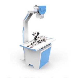 Best Sell Direct X-ray Machine Veterinary X-ray Machine