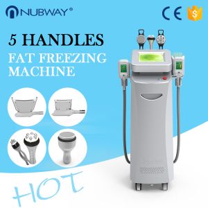 Body Slimming Shaping Cryolipolysis Body Slimming Machine Beautician Use
