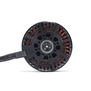 MAD 8318 IPE Brushless DC Motor