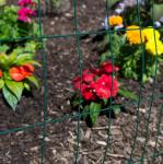 Silver PVC Coated Chicken Wire Mesh 1/2x1 1x1 for Garden Trellis and Plant