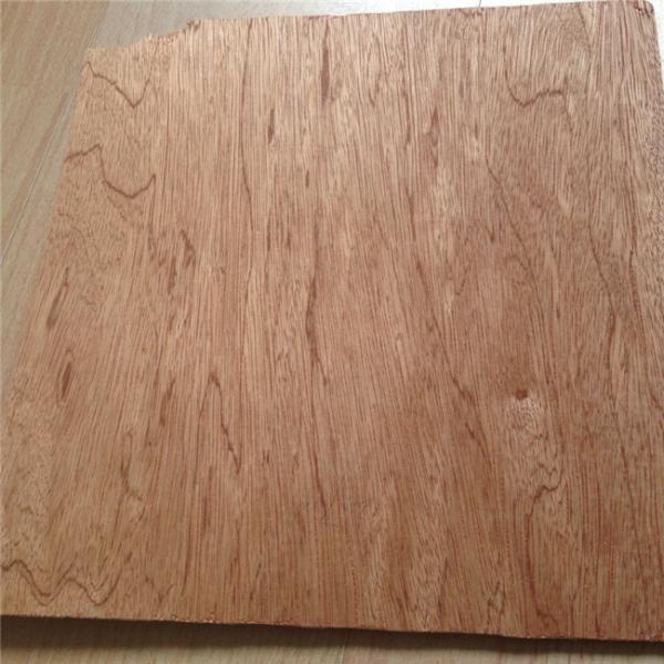 Buy Poplar Wood Anti Cracking E1 Glue Bintangor Plywood at wholesale prices