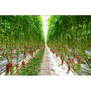 ETL 120W High PPFD Grow Light For Commercial Cultivation