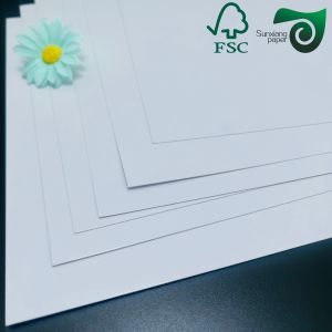 FSC Certified 170gsm 200gsm Double Side Glossy Matte Coated Paper Ideal For