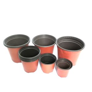 china supplier low price wholesale bonsai pots