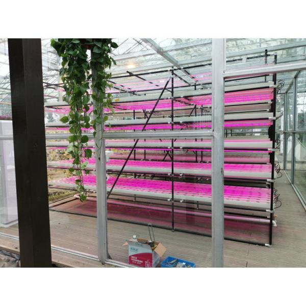 Buy Vertical Farming Plant NFT Hydroponic Smart Garden White 110V/220VAC at wholesale prices