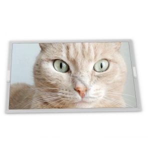 M238HAN03.5 Panel 23.8 Inch 1920*1080 A-Si TFT-LCD Desktop Monitor New and Original