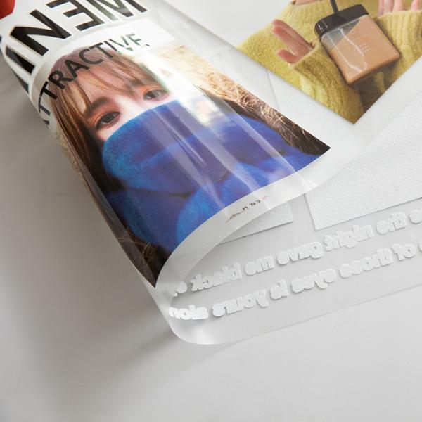 Transfer printing screen print transfers heat transfer print