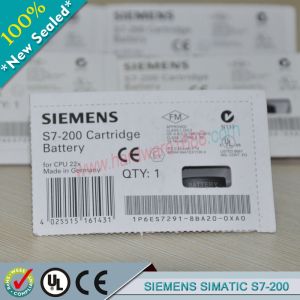 SIEMENS SIMATIC S7-200 6ES7290-6AA20-0XA0 / 6ES72906AA200XA0