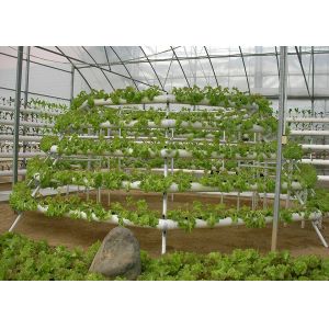Easy Maintenance Nutrient Film Technique System With Strong Adaptability