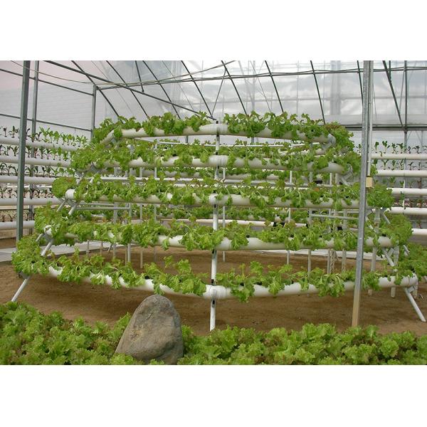 Buy Easy Maintenance Nutrient Film Technique System With Strong Adaptability at wholesale prices