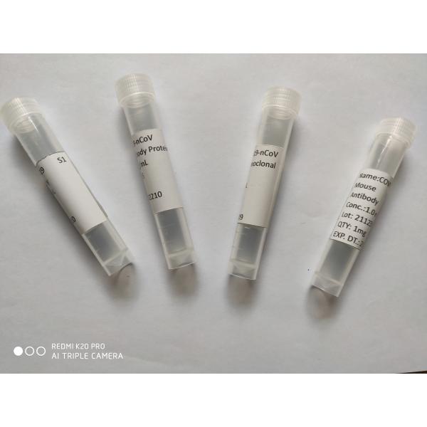 Buy Recombinant Mouse Monoclonal Antibody SARS-CoV-2 / 2019-NCoV Spike S2 ECD Protein at wholesale prices