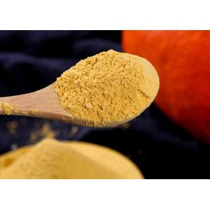 Food Grade Fruit Concentrate Pumpkin Vegetable Extract Powder