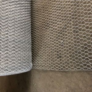 Hot Dipped Galvanized Hexagonal Wire Netting