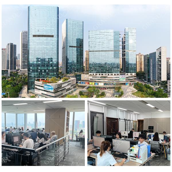 Modern Screen Custom Arches Top Exterior Front Double Entry Iron Glass Door Villa Front Entry Iron Pivot Door