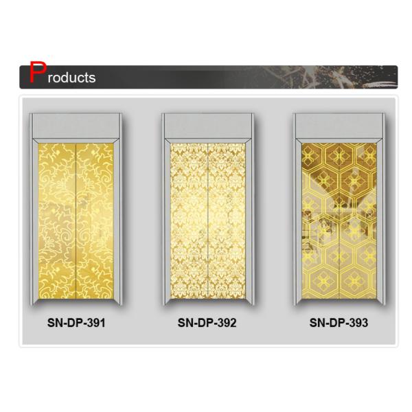 ST . ST Gorgeous Elevator Door Panel For Elevator Cabin Decoration