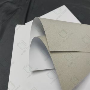 Gray-Base White Cardstock With UV Gloss Retail-Ready Shelf Appeal For Product
