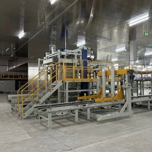 Automatic Wet Pet Food Production Line for Dog and Cat Application with 80-400