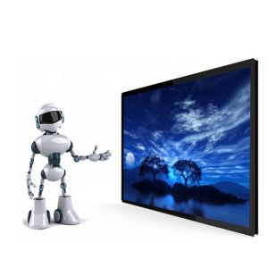 High Brightness Transparent LCD Display