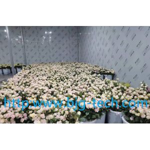 Flower cold storage installation