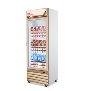 800L Upright Ice Cream Showcase Display Freezer