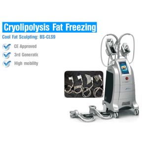 Quality Multifunction Cryolipolysis Body Slimming Machine , Fat Freezing Body Slimming Equipment for sale