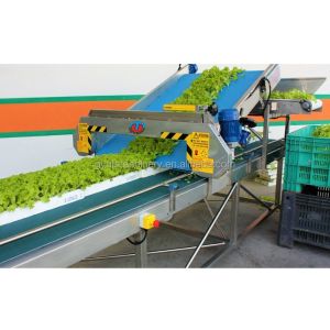 Harvesting Aquaponics Microgreens Agricultural Equipment for Enhanced Crop