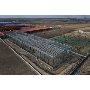 Q235B Q355B Economical Steel Structure Warehouse Prefabricated Steel Buildings