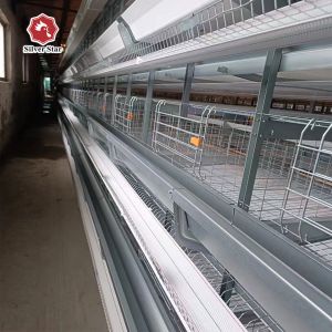 Hot Dipped Galvanized H Type Egg Layer Chicken Cage
