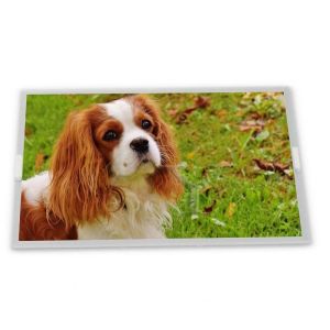 China Nice Price 6.5 400*240 LQ065T9BR54U Tft Lcd Display on sale