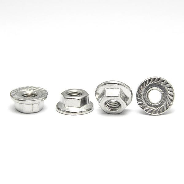 DIN 6923 A4 Serrated Hex Flange Nut Stainless Steel 304 / 316 M5 M6 M8 Locknut A2-70