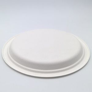 6 Inch Biodegradable Bagasse Tableware