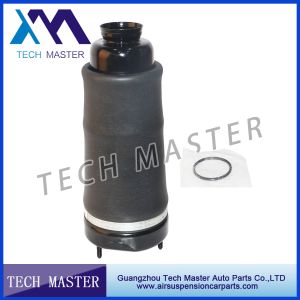 China Mercedes W251 R - Class Front Car Suspension Springs OEM 2513203113 on sale