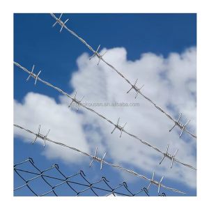 Zinc Plating Iron Barbed Wire Mesh for Farm/School Length 20m/25m/30m/50m/Roll