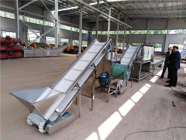 Buy garlic peeling line, big capacity garlic peeling machine, garlic peeler at wholesale prices