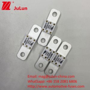 China 300A 125VDC Ceramic Fuse High Breaking Capacity Under 125Vdc Automotive For Heavy Duty Vehicles on sale