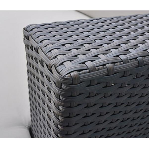 Pe Rattan Sectional Sofa Indoor Furniture Sofa Wrought Iron Sofa Lunge Sunbed Bed Set