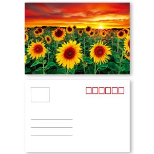 Beautiful Flower Design 3D lenticular postcard printing PET/ PP Landscape