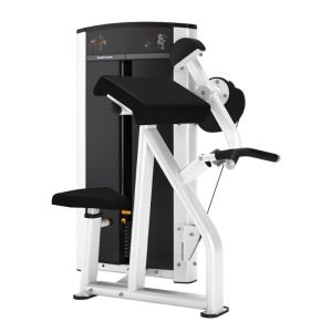 Unisex Biceps Machine for Gym and Home Use Strength Training Equipment With Pin