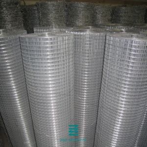 Plain Weave Welded Wire Fence Roll Galvanized Iron Wire Fencing Mesh Hole 1/2" X