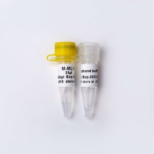 M-MLV Reverse Transcriptase PCR Reagents R1042