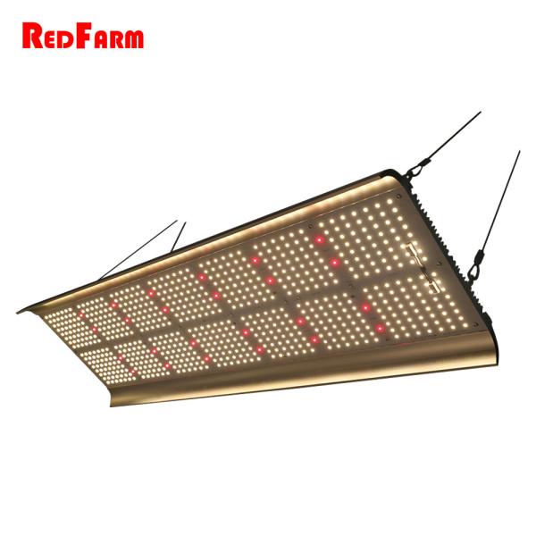 Buy High Lumen Hydroponics 330W G2 Quantum Board LED Grow Lights at wholesale prices