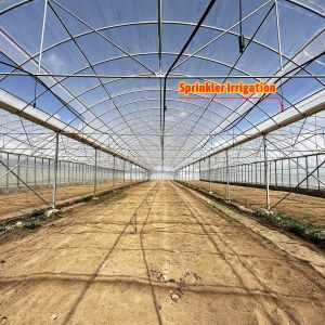 Baolida Custom Automatic System Greenhouse Tropical Hydroponic System Multi-span