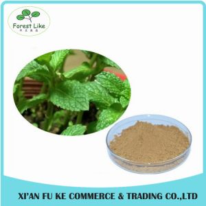 Peppermint / Mentha Haplocalyx Leaf Extract Menthol