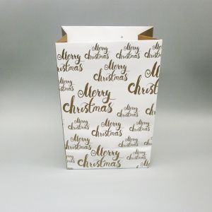 Christmas Recyclable Paper Gift Bag with Drawstring 10x12in