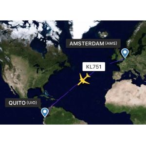 Safety Overseas Air Freight Carriers Strong Capacity Freight Forwarder And Shipping Agent