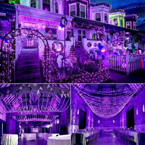 70m Length 100V Purple Christmas Lights Outdoor 700 LED Waterproof