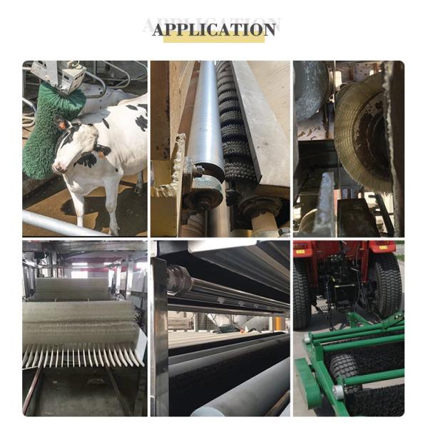 Potato Peeling Roller Sweeper Brush Roller OEM For Conveyor Belt