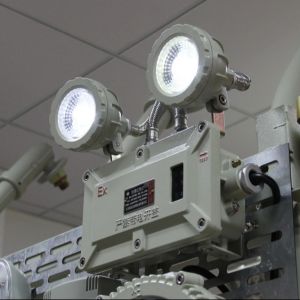 2x3W ATEX Certified Explosion Proof LED Emergency Light IP65